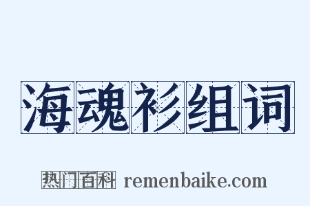海魂衫组词是什么意思的图片